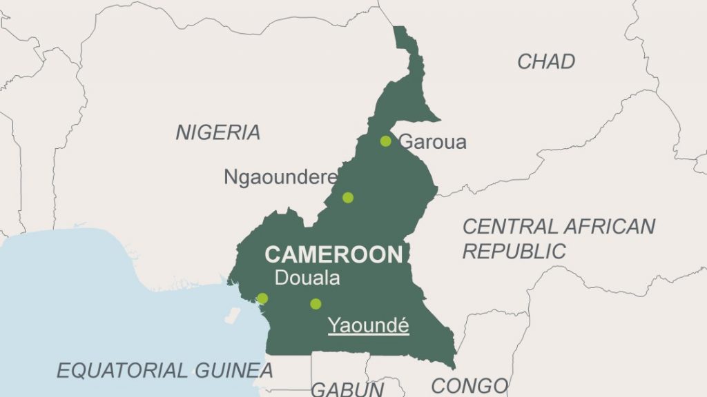 Vận chuyển hàng hóa từ CAMEROON về Việt Nam tiết kiệm, nhanh chóng